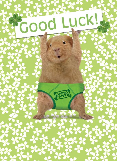 Good Luck Card Lucky Pants