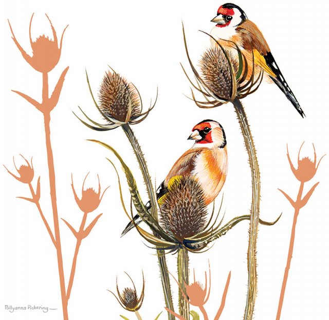 Countryside Card Goldfinch