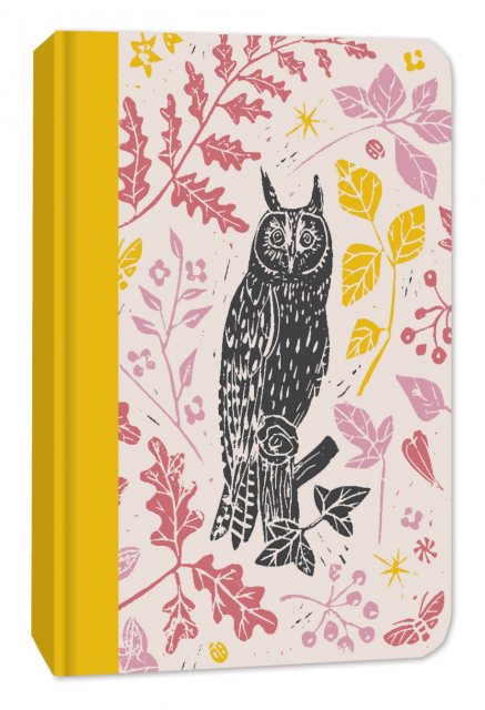 A7 Notebook Curious Owl