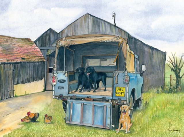 Landrover & Labradors Greetings Card