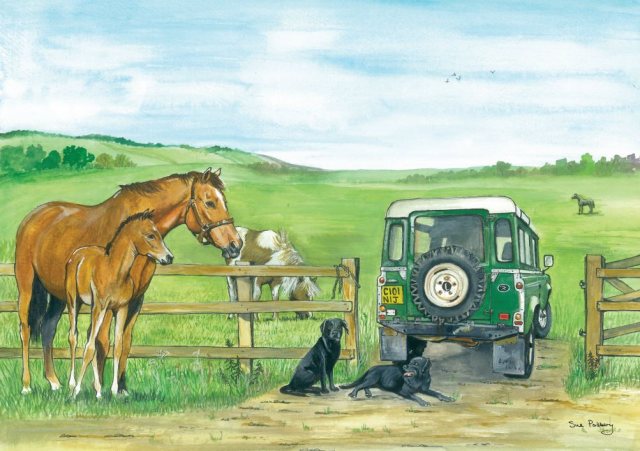 Mare & Foal Greetings Card