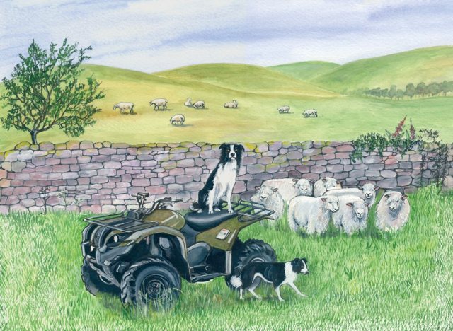 Quad Bike Greetings Card