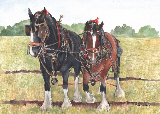 Heavy Horses Greetings Card