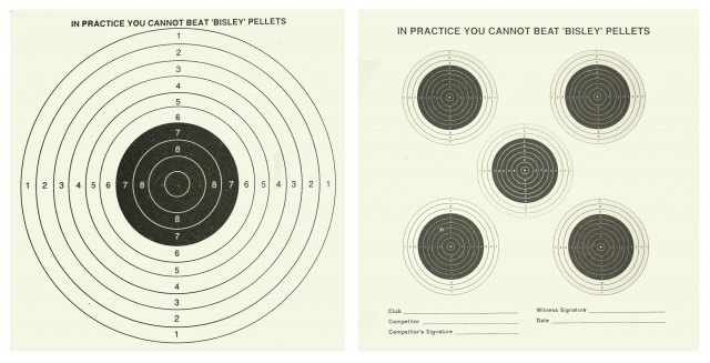 Paper Targets: Precision Practice for Sharpshooting