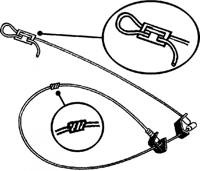 STV Fox Wire Trap