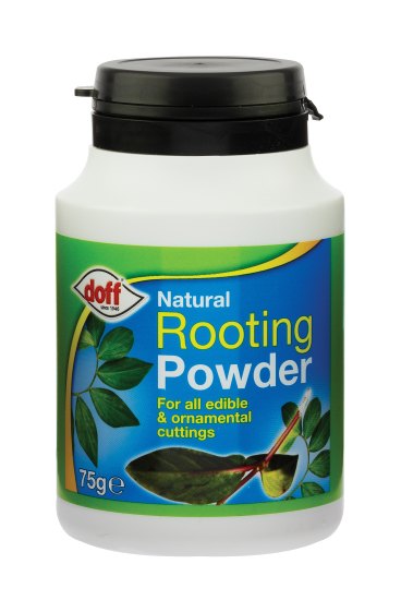 Doff Rooting Powder