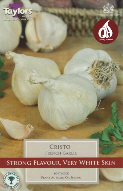 Taylors Bulbs Taylor's Bulbs Cristo French Garlic Collection