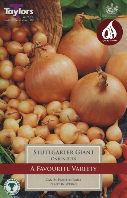 Taylors Bulbs Taylor's Bulbs Onion Stuttgarter Giant