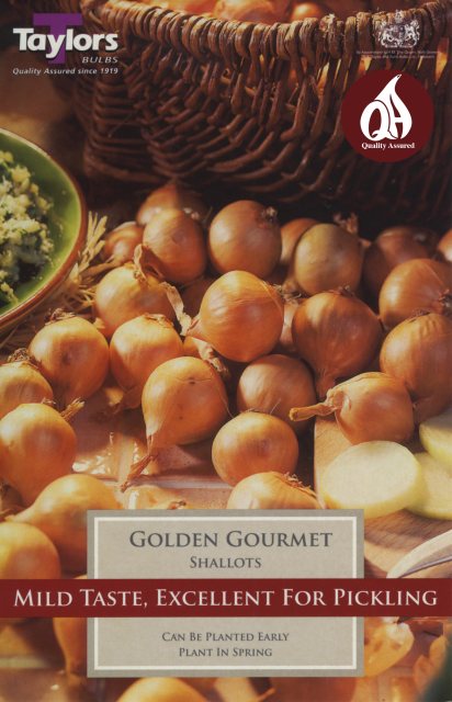 Taylors Bulbs Taylor's Bulbs Shallot Golden Gourmet 12 Pack