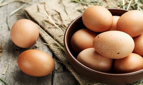 Black Dog Free Range Eggs