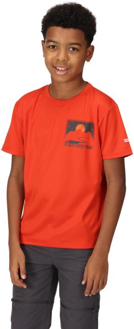 Regatta Regatta Alvarado T-Shirt Rust