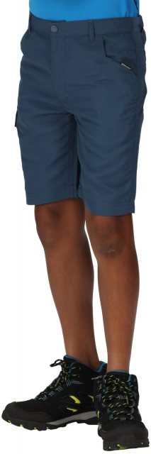 Regatta Regatta Sorcer Shorts Blue