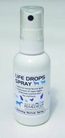 Life Drops Spray 3 x 30ml