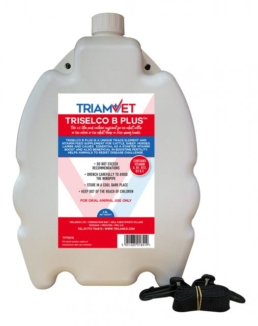 Triam-Vet Triselco B Plus Drench 5L