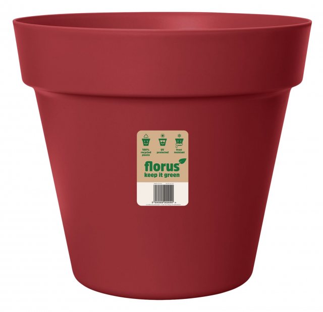 Florus Paris Pot Deep Red