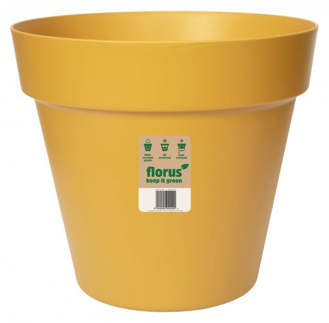 Florus Paris Pot Mustard