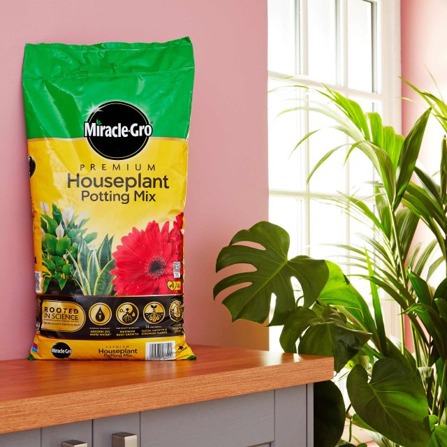 bonsai tree liquid fertilizer Bonsai fertilizer, Ho Yoku Nitrogen-free Bonsai Tree Fertilizer, 0-10-10  Nitrogen-free fertilizer, Bonsai care, Bonsai tree care, Bonsai food, Bonsai  maintenance, Fertilizing bonsai trees, Bonsai heath, Healthy bonsai trees,  Bonsai health  Stone