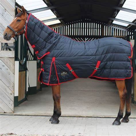 Trojan Maverick 300 Stable Combo Rug