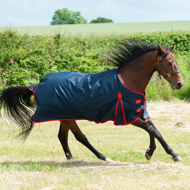 Gallop Equestrian Trojan 200 Turnout Rug Navy/Red 4'6"