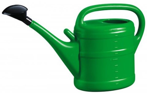 Watering Can 10L