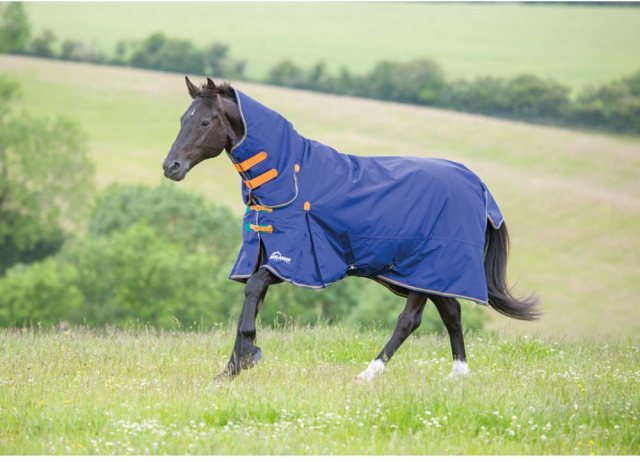 Highlander 100g Turnout Combo Rug Navy