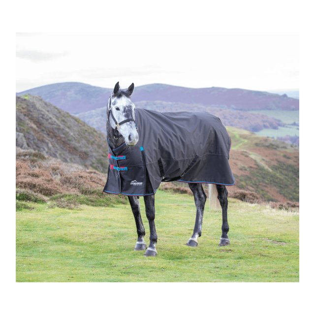 Highlander 200g Turnout Rug Black