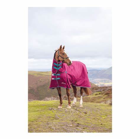 Highlander 300g Turnout Combo Rug Raspberry