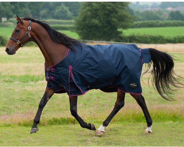 Gallop Trojan 50 Turnout Rug Navy