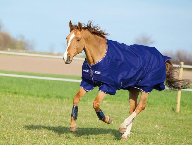 Amigo Hero Turnout Medium Weight Rug Blue