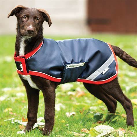 Rambo Waterproof Dog Coat Navy/Red