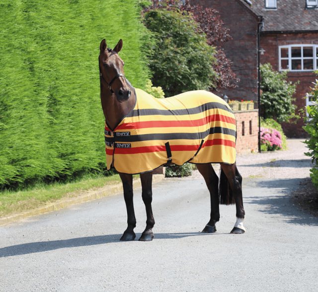 Tempest Fleece Stripe Rug Gold