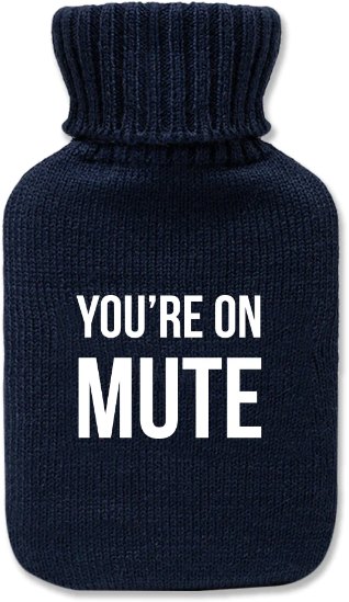 Hot Water Bottle You're On Mute Small