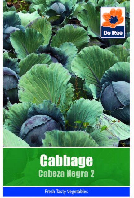 De Ree Cabbage Cabeza Negra 2 Seeds