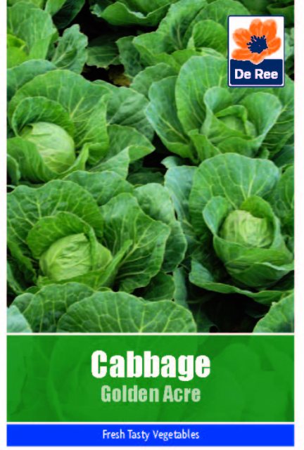 De Ree Cabbage Golden Acre Primo III Seeds