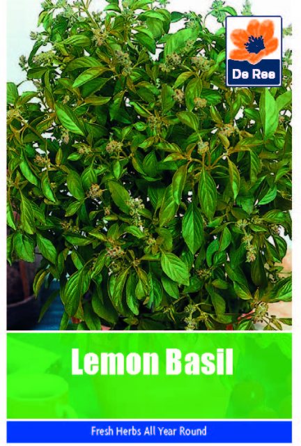 De Ree Lemon Basil Seeds