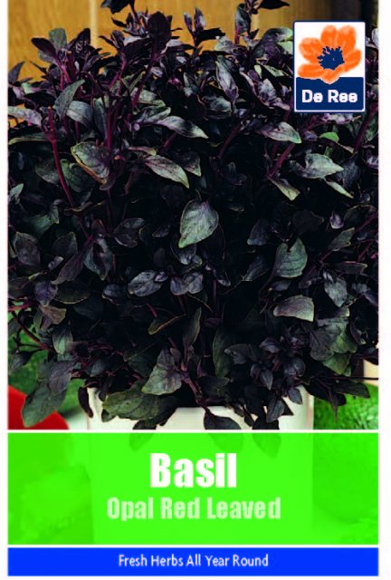 De Ree Basil Opal Red Leaved Seeds