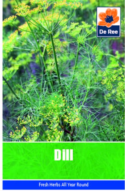 De Ree Dill Seeds