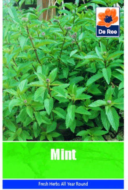 De Ree Mint Seeds