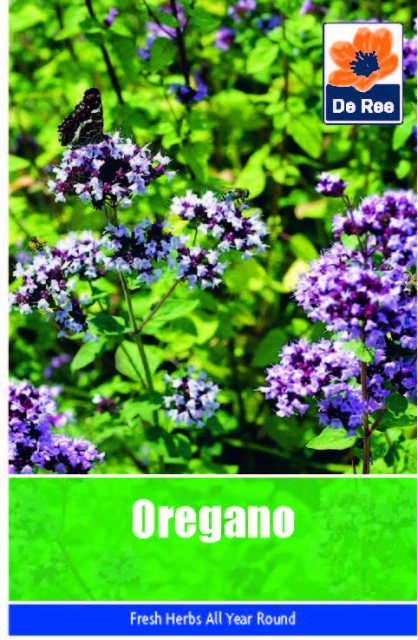 De Ree Oregano Seeds