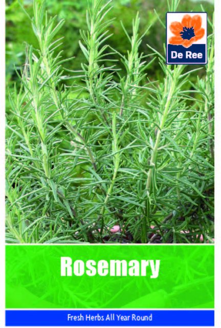De Ree Rosemary Seeds