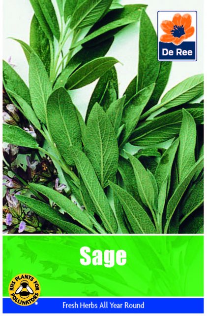 De Ree Sage Seeds