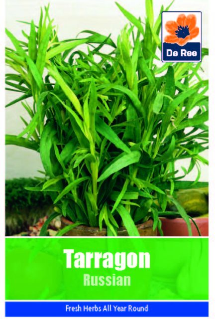 De Ree Tarragon Russian Seeds