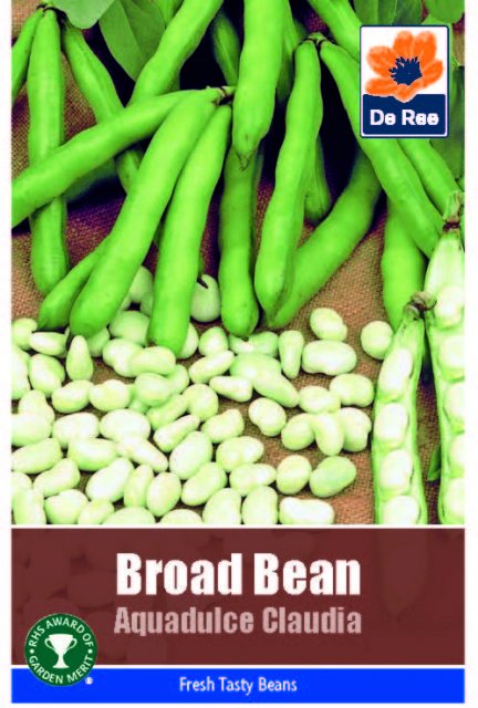 De Ree Broad Bean Aquadulce Claudia Seeds