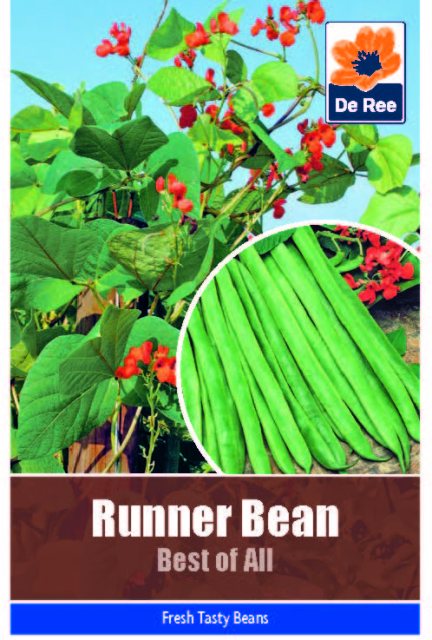 De Ree Runner Bean Best of All Seeds