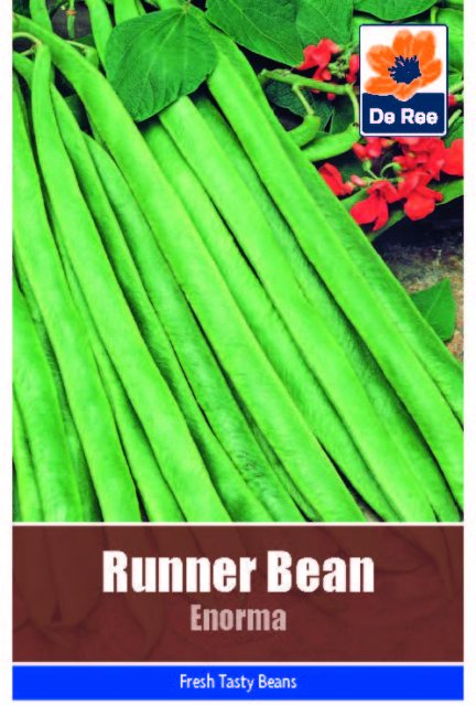 De Ree Runner Bean Enorma Seeds