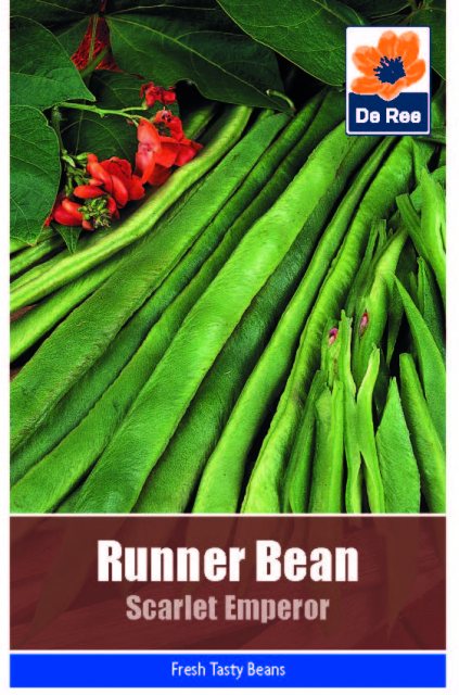 De Ree Runner Bean Scarlet Emperor Seeds