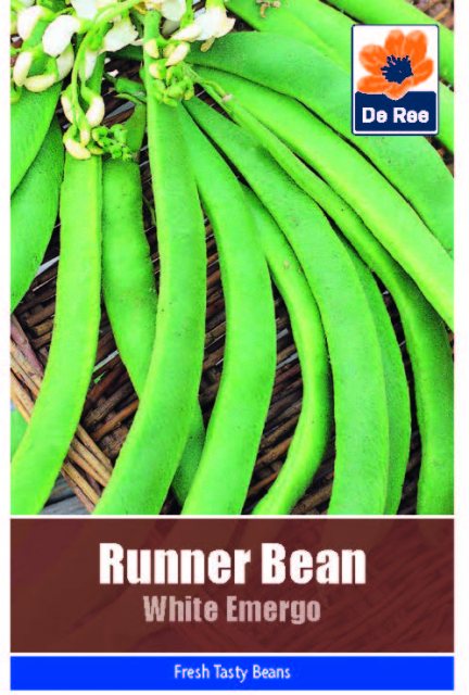 De Ree Runner Bean White Emergo Seeds