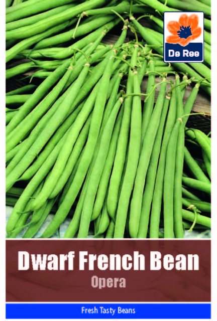 De Ree Dwarf French Bean Opera Seeds