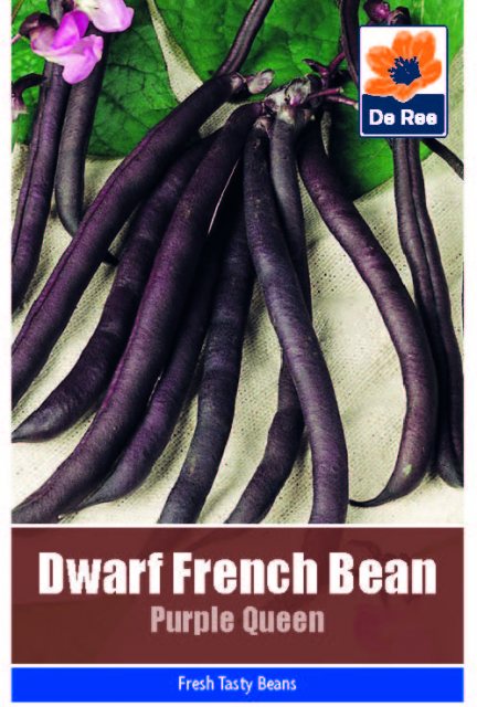 De Ree Dwarf French Bean Purple Queen Seeds