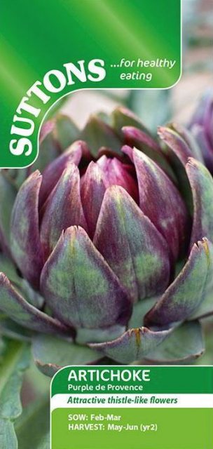SUTTONS Suttons Artichoke Purple de Provence Seeds